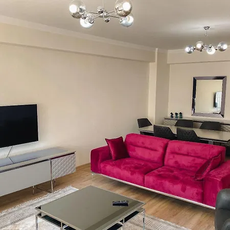公寓 Deniz Homeks Suit 特拉布宗